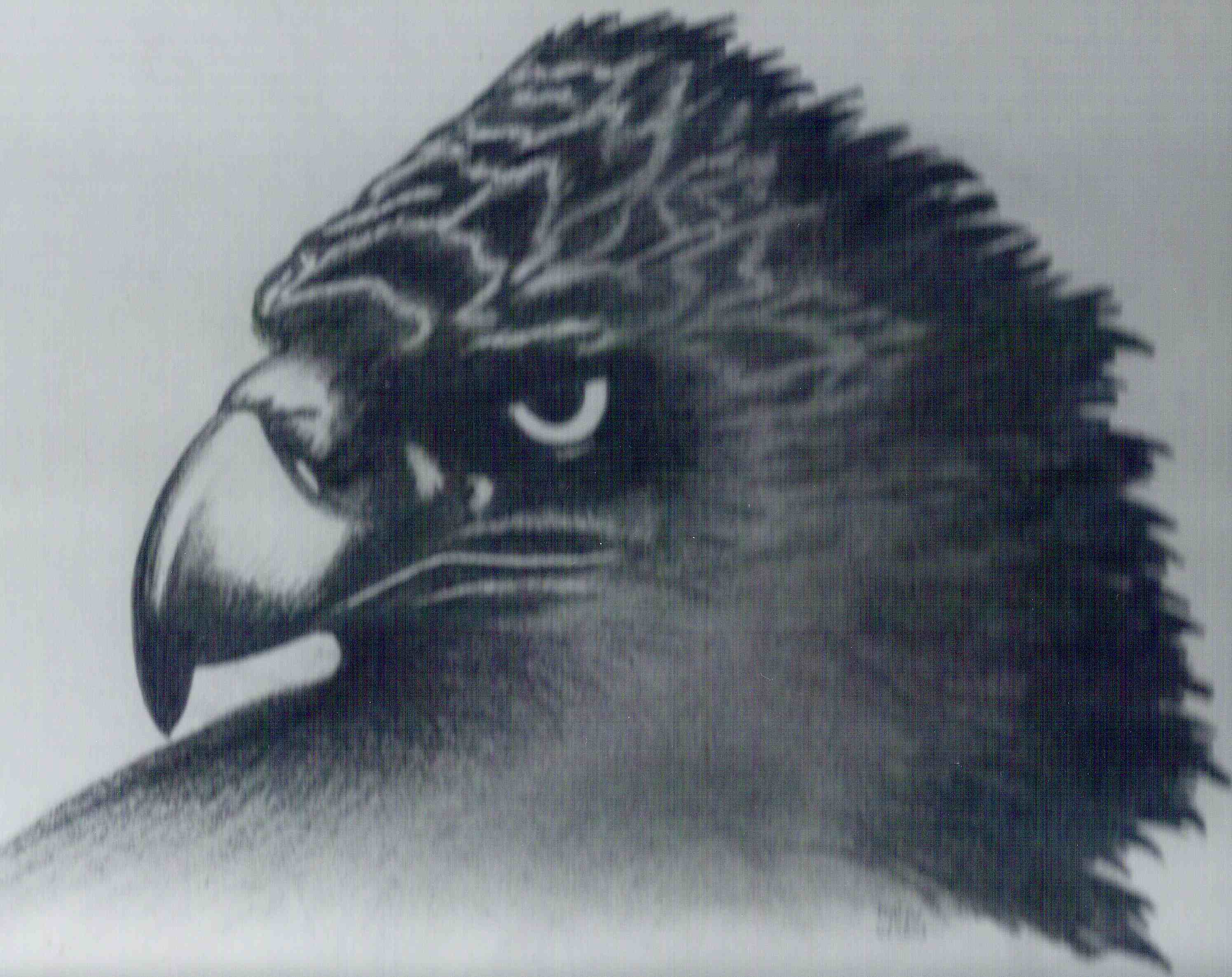 Focus (Charcoal, 06 Feb 2001)